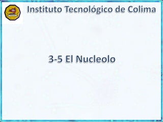 Instituto Tecnológico de Colima 3-5 El Nucleolo 