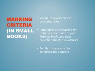 MARKING     • You must have been seen
              collecting data
CRITERIA
(IN SMALL   • Data tables are produced for
              both beaches. (hand in your
BOOKS)        Muriwai books and data
              collection sheets as evidence)

            • For Merit these must be
              complete and accurate
 