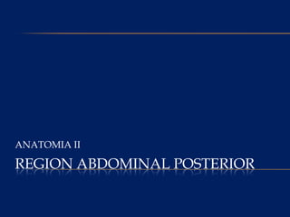 REGION ABDOMINAL POSTERIOR ANATOMIA II 