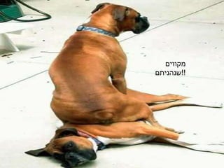 מקווים שנהניתם !! 