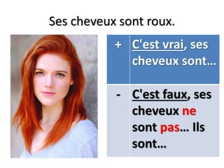 Ses cheveux sont roux.
+ C'est vrai, ses
cheveux sont…
- C'est faux, ses
cheveux ne
sont pas… Ils
sont…
 
