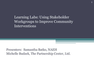 Presenters:  Samantha Batko, NAEH  Michelle Budzek, The Partnership Center, Ltd. Learning Labs: Using Stakeholder Workgroups to Improve Community Interventions 