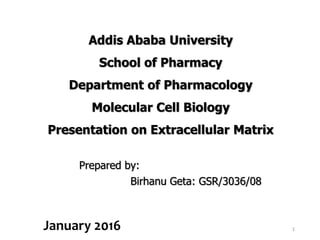 Addis Ababa University
School of Pharmacy
Department of Pharmacology
Molecular Cell Biology
Presentation on Extracellular Matrix
Prepared by:
Birhanu Geta: GSR/3036/08
13:57 1
January 2016
 