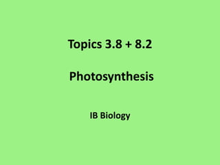 Topics 3.8 + 8.2 Photosynthesis IB Biology 