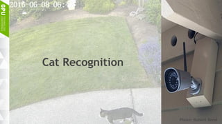 Cat Recognition
Photo: Robert Bond
 