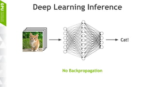 Deep Learning Inference
Cat!
No Backpropagation
 