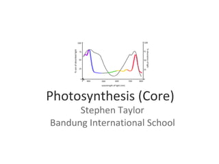 Photosynthesis (3.8 Core)