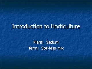 Introduction to Horticulture Plant:  Sedum Term:  Soil-less mix 