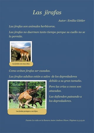 Las jirafas
Autor: Emilia Gittler
Las jirafas son animales herbívoros.
Las jirafas no duermen tanto tiempo porque su cuello no se
lo permite.




Las jirafas son muy altas.



Como evitan jirafas ser cazadas.
Las jirafas adultas están a salvo de los depredadores
debido a su gran tamaño.
Pero las crías a veces son
atacadas.
Las defienden pateando a
los depredadores.




Las jirafas protegen a sus hijos.


Fuente:La vida en la llanura Autor:Andrew Dixon. Páginas:2,5,15,22.

 