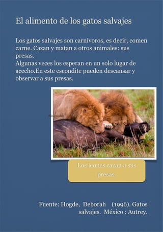 El alimento de los gatos salvajes

Los gatos salvajes son carnívoros, es decir, comen
carne. Cazan y matan a otros animales: sus
presas.
Algunas veces los esperan en un solo lugar de
acecho.En este escondite pueden descansar y
observar a sus presas.



Búsquedas

Los leones cazan a sus
presas.



Fuente: Hogde, Deborah (1996). Gatos
salvajes. México : Autrey.

 