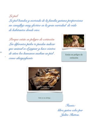 La piel
La piel bandea y moteada de la familia gatuna proporciona
un camuflaje muy efectivo en la gran variedad de vida
de habitantes donde vive.
Porque están en peligro de extinción
Las diferentes pieles te pueden indicar
que animal es el jaguar y hace cientos
de años los humanos usaban su piel .
como abrigosfuente

Están en peligro de
extinción

Este es un abrigo .

Fuente:
libro gatos echo por
Julito Ilutton.

 