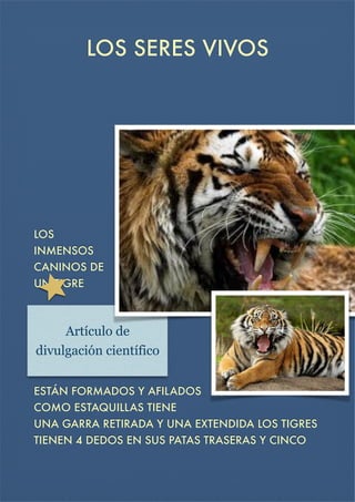 LOS SERES VIVOS








LOS
INMENSOS
CANINOS DE
UN TIGRE

Artículo de
divulgación científico
ESTÁN FORMADOS Y AFILADOS
COMO ESTAQUILLAS TIENE
UNA GARRA RETIRADA Y UNA EXTENDIDA LOS TIGRES
TIENEN 4 DEDOS EN SUS PATAS TRASERAS Y CINCO

 