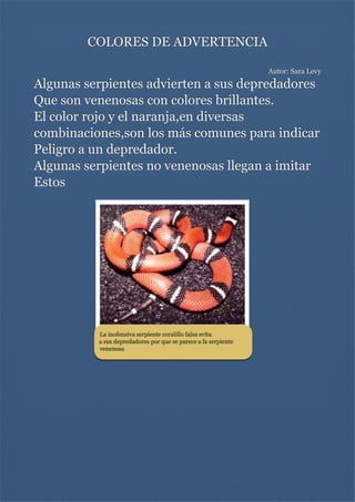 COLORES DE ADVERTENCIA


Autor: Sara Levy

Algunas serpientes advierten a sus depredadores
Que son venenosas con colores brillantes.
El color rojo y el naranja,en diversas
combinaciones,son los más comunes para indicar
Peligro a un depredador.
Algunas serpientes no venenosas llegan a imitar
Estos

La inofensiva serpiente coralillo falsa evita
a sus depredadores por que se parece a la serpiente
venenosa







 