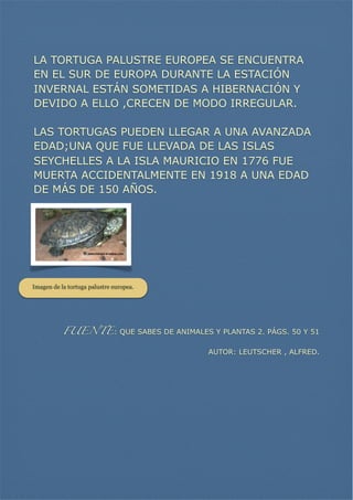 LA TORTUGA PALUSTRE EUROPEA SE ENCUENTRA
EN EL SUR DE EUROPA DURANTE LA ESTACIÓN
INVERNAL ESTÁN SOMETIDAS A HIBERNACIÓN Y
DEVIDO A ELLO ,CRECEN DE MODO IRREGULAR.
LAS TORTUGAS PUEDEN LLEGAR A UNA AVANZADA
EDAD;UNA QUE FUE LLEVADA DE LAS ISLAS
SEYCHELLES A LA ISLA MAURICIO EN 1776 FUE
MUERTA ACCIDENTALMENTE EN 1918 A UNA EDAD
DE MÁS DE 150 AÑOS.

Imagen de la tortuga palustre europea.

FUENTE: QUE SABES DE ANIMALES Y PLANTAS 2. PÁGS. 50 Y 51
AUTOR: LEUTSCHER , ALFRED.

 