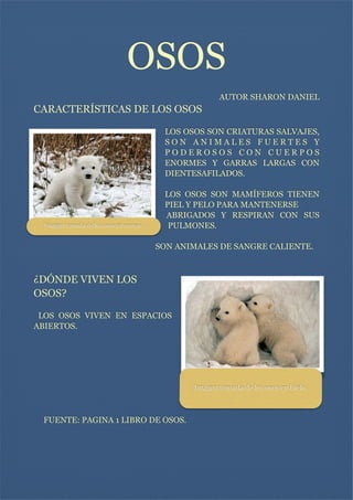 OSOS


AUTOR SHARON DANIEL

CARACTERÍSTICAS DE LOS OSOS



LOS OSOS SON CRIATURAS SALVAJES,
SON ANIMALES FUERTES Y
PODEROSOS CON CUERPOS
ENORMES Y GARRAS LARGAS CON
DIENTESAFILADOS.


Imagen tomada de los osos en cuevas.

LOS OSOS SON MAMÍFEROS TIENEN
PIEL Y PELO PARA MANTENERSE
ABRIGADOS Y RESPIRAN CON SUS
PULMONES.



SON ANIMALES DE SANGRE CALIENTE.



¿DÓNDE VIVEN LOS
OSOS?



LOS OSOS VIVEN EN ESPACIOS
ABIERTOS.








Imagen tomada de los osos en hielo.

FUENTE: PAGINA 1 LIBRO DE OSOS.

 