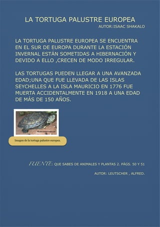 LA TORTUGA PALUSTRE EUROPEA
AUTOR:ISAAC SHAKALO


LA TORTUGA PALUSTRE EUROPEA SE ENCUENTRA
EN EL SUR DE EUROPA DURANTE LA ESTACIÓN
INVERNAL ESTÁN SOMETIDAS A HIBERNACIÓN Y
DEVIDO A ELLO ,CRECEN DE MODO IRREGULAR.


LAS TORTUGAS PUEDEN LLEGAR A UNA AVANZADA
EDAD;UNA QUE FUE LLEVADA DE LAS ISLAS
SEYCHELLES A LA ISLA MAURICIO EN 1776 FUE
MUERTA ACCIDENTALMENTE EN 1918 A UNA EDAD
DE MÁS DE 150 AÑOS.

Imagen de la tortuga palustre europea.




FUENTE: QUE SABES DE ANIMALES Y PLANTAS 2. PÁGS. 50 Y 51
AUTOR: LEUTSCHER , ALFRED.

 