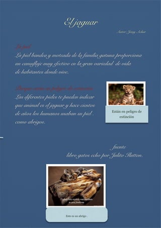 El jaguar
Autor: Jemy Achar


La piel
La piel bandea y moteada de la familia gatuna proporciona
un camuflaje muy efectivo en la gran variedad de vida
de habitantes donde vive.


Porque están en peligro de extinción
Las diferentes pieles te pueden indicar
que animal es el jaguar y hace cientos
de años los humanos usaban su piel .
como abrigos.

Están en peligro de
extinción



fuente
libro gatos echo por Julito Ilutton.



Este es un abrigo .

 