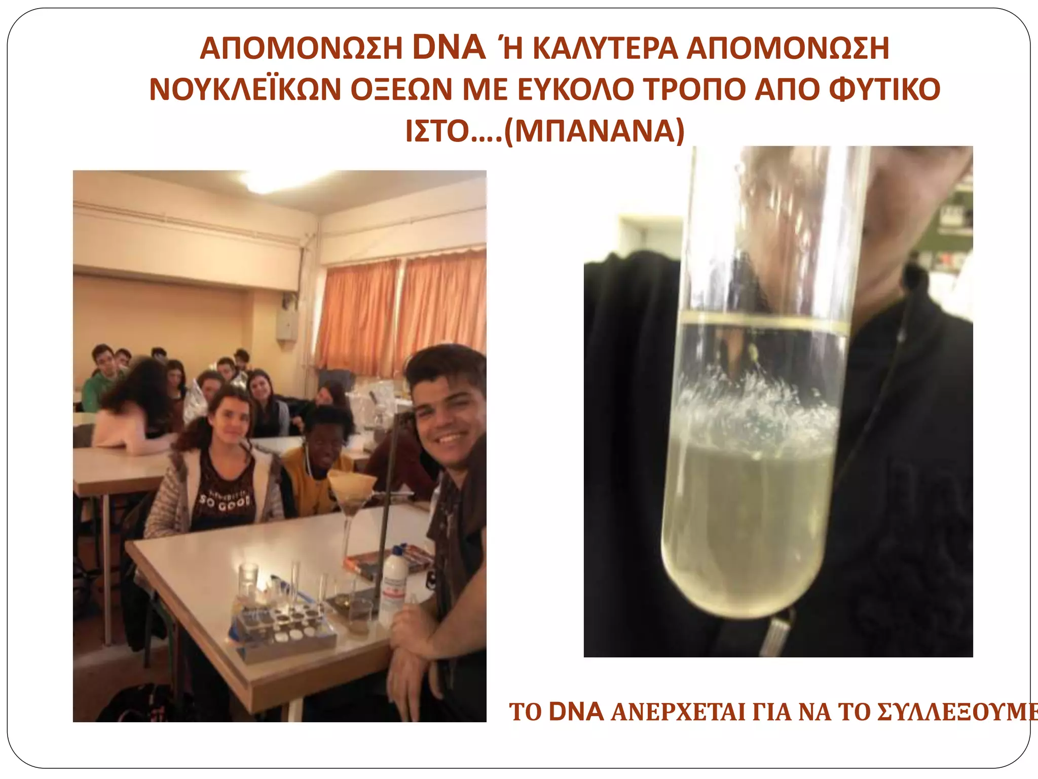 ΑΠΟΜΟΝΩΣΗ DNA Ή ΚΑΛΥΤΕΡΑ ΑΠΟΜΟΝΩΣΗ
ΝΟΥΚΛΕΪΚΩΝ ΟΞΕΩΝ ΜΕ ΕΥΚΟΛΟ ΤΡΟΠΟ ΑΠΟ ΦΥΤΙΚΟ
ΙΣΤΟ….(ΜΠΑΝΑΝΑ)
ΤΟ DNA ΑΝΕΡΧΕΤΑΙ ΓΙΑ ΝΑ ΤΟ ΣΥΛΛΕΞΟΥΜΕ
 