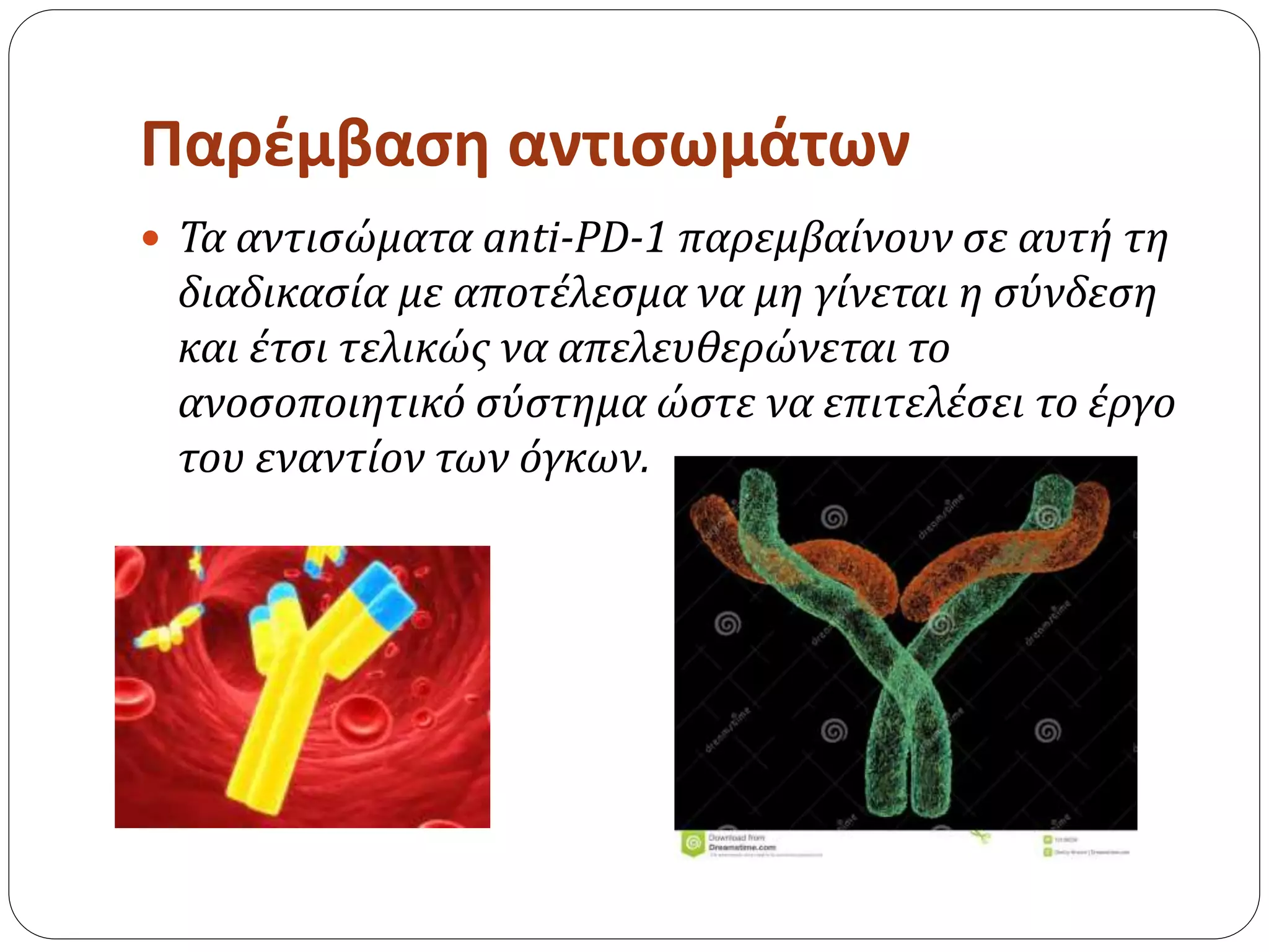 Παρέμβαση αντισωμάτων
 Τα αντισώματα anti-PD-1 παρεμβαίνουν σε αυτή τη
διαδικασία με αποτέλεσμα να μη γίνεται η σύνδεση
και έτσι τελικώς να απελευθερώνεται το
ανοσοποιητικό σύστημα ώστε να επιτελέσει το έργο
του εναντίον των όγκων.
 