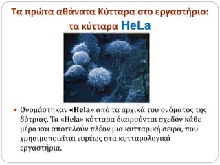 Τα πρώτα αθάνατα Κύτταρα στο εργαστήριο:
τα κύτταρα HeLa
 Ονομάστηκαν «Hela» από τα αρχικά του ονόματος της
δότριας. Τα «Hela» κύτταρα διαιρούνται σχεδόν κάθε
μέρα και αποτελούν πλέον μια κυτταρική σειρά, που
χρησιμοποιείται ευρέως στα κυτταρολογικά
εργαστήρια.
 