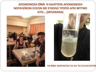 ΑΠΟΜΟΝΩΣΗ DNA Ή ΚΑΛΥΤΕΡΑ ΑΠΟΜΟΝΩΣΗ
ΝΟΥΚΛΕΪΚΩΝ ΟΞΕΩΝ ΜΕ ΕΥΚΟΛΟ ΤΡΟΠΟ ΑΠΟ ΦΥΤΙΚΟ
ΙΣΤΟ….(ΜΠΑΝΑΝΑ)
ΤΟ DNA ΑΝΕΡΧΕΤΑΙ ΓΙΑ ΝΑ ΤΟ ΣΥΛΛΕΞΟΥΜΕ
 