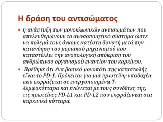 Η δράση του αντισώματος
 η ανάπτυξη των μονοκλωνικών αντισωμάτων που
απελευθερώνουν το ανοσοποιητικό σύστημα ώστε
να πολεμά τους όγκους κατέστη δυνατή μετά την
κατανόηση του μοριακού μηχανισμού που
καταστέλλει την ανοσολογική απόκριση του
ανθρώπινου οργανισμού εναντίον του καρκίνου.
 Βρέθηκε ότι ένα βασικό μονοπάτι της καταστολής
είναι το PD-1. Πρόκειται για μια πρωτεΐνη-υποδοχέα
που εκφράζεται σε ενεργοποιημένα Τ-
λεμφοκύτταρα και ενώνεται με τους συνδέτες της,
τις πρωτεΐνες PD-L1 και PD-L2 που εκφράζονται στα
καρκινικά κύτταρα.
 