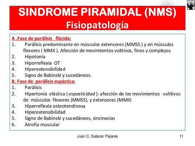 SIGNOS PIRAMIDALES EBOOK DOWNLOAD SIGNOS PIRAMIDALES EBOOK DOWNLOAD