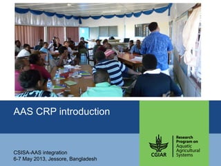 AAS CRP introduction
CSISA-AAS integration
6-7 May 2013, Jessore, Bangladesh
 