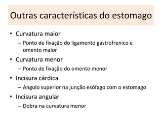 Outras características do estomago C urvatura maior P onto de fixação do ligamento gastrofrenico e omento maior C urvatura menor P onto de fixação do omento menor I ncisura cárdica A ngulo superior na junção esôfago com o estomago Incisura angular D obra na curvatura menor 