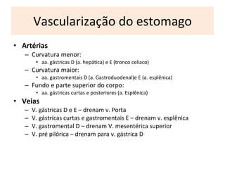 Vascularização do estomago Artérias C urvatura menor:  aa. gástricas D (a. hepática) e E (tronco celíaco) Curvatura maior:  aa. gastromentais D (a.  G astroduodenal)e E (a. esplênica) Fundo e parte superior do corpo:  aa.  gás tricas curtas e posteriores (a.  E splênica) Veias V . gástricas D e E  –  drenam v.  P orta V. gástricas curtas e gastromentais E  –  drenam v. esplênica V. gastromental D  –  drenam V. mesentérica superior V. pré pilórica  –  drenam para v. gástrica D 