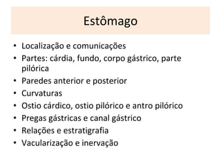 Estômago L ocalização e comunicações P artes: cárdia, fundo, corpo gástrico, parte pilórica P aredes anterior e posterior C urvaturas Ostio cárdico, ostio pilórico e antro pilórico P regas gástricas e canal gástrico R elações e estratigrafia V acularização e inervação 