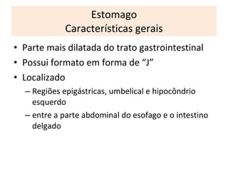 Estomago Características gerais P arte mais dilatada do trato gastrointestinal Possui formato em forma de “J” L ocalizado  Regiões epigástricas, umbelical e hipocôndrio esquerdo entre a parte abdominal do esofago e o intestino delgado 