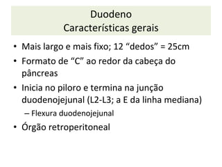 Duodeno Características gerais M ais largo e mais fixo; 12 “dedos” = 25cm F ormato de “C” ao redor da cabeça do pâncreas I nicia no piloro e termina na junção duodenojejunal (L2-L3; a E da linha mediana) F lexura duodenojejunal Órgão retroperitoneal 
