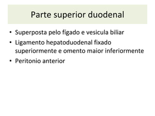 Parte superior duodenal S uperposta pelo fígado e vesicula biliar L igamento hepatoduodenal fixado superiormente e omento maior inferiormente P eritonio anterior 
