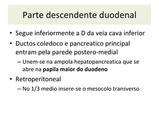 Parte descendente duodenal Segue inferiormente a D da veia cava inferior D uctos coledoco e pancreatico principal entram pela parede postero-medial U nem-se na ampola hepatopancreatica que se abre na  papila maior do duodeno Retroperitoneal N o 1/3 medio insere-se o mesocolo transverso 
