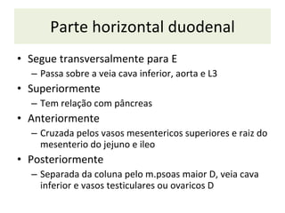 Parte horizontal duodenal S egue transversalmente para E P assa sobre a veia cava inferior, aorta e L3 Superiormente  Tem relação com pâncreas A nteriormente  C ruzada pelos vasos mesentericos superiores e raiz do mesenterio do jejuno e ileo Posteriormente S eparada da coluna pelo m.psoas maior D, veia cava inferior e vasos testiculares ou ovaricos D 