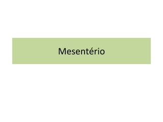 Mesentério 