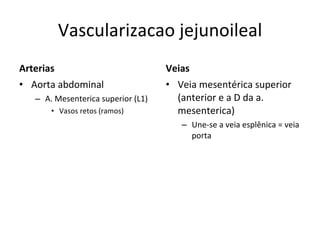 Vascularizacao jejunoileal Arterias Aorta abdominal A .  M esenterica superior (L1) Vasos retos (ramos) Veias V eia mesentérica superior (anterior e a D da a. mesenterica) U ne-se a veia esplênica = veia porta 