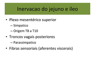I nervacao do jejuno e íleo P lexo mesentérico superior S impatico O rigem T8 a T10 T r oncos vagais posteriores P arassimpatico F ibras sensoriais (aferentes viscerais) 