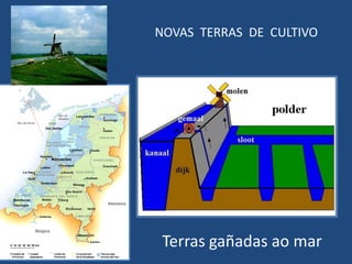 NOVAS TERRAS DE CULTIVO




 Terras gañadas ao mar
 