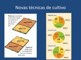 Novas técnicas de cultivo
 