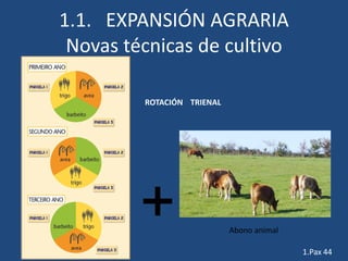 1.1. EXPANSIÓN AGRARIA
 Novas técnicas de cultivo

         ROTACIÓN TRIENAL




                            Abono animal

                                           1.Pax 44
 