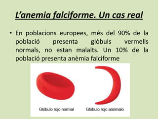 L’anemia falciforme. Un cas real
• En poblacions europees, més del 90% de la
  població     presenta    glòbuls    vermells
  normals, no estan malalts. Un 10% de la
  població presenta anèmia falciforme
 