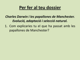 Per fer al teu dossier
Charles Darwin i les papallones de Manchester.
     Evolució, adaptació i selecció natural.
1. Com explicaries tu el que ha passat amb les
   papallones de Manchester?
 