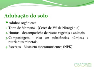 Adubação do solo 
Adubos orgânicos: 
1. Torta de Mamona - (Cerca de 5% de Nitrogênio) 
2.Humus - decomposição de restos vegetais e animais 
3.Compostagem - rico em substâncias húmicas e 
nutrientes minerais. 
4.Estercos - Ricos em macronutrientes (NPK) 
 