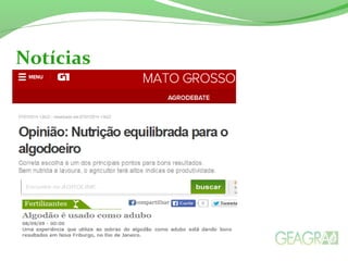 Notícias 
 