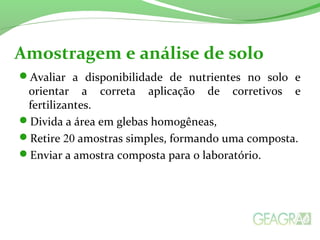 Amostragem e análise de solo 
Avaliar a disponibilidade de nutrientes no solo e 
orientar a correta aplicação de corretivos e 
fertilizantes. 
Divida a área em glebas homogêneas, 
Retire 20 amostras simples, formando uma composta. 
Enviar a amostra composta para o laboratório. 
 