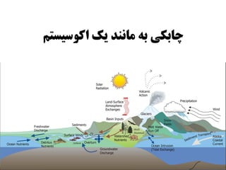 ‫اکوسیستم‬ ‫یک‬ ‫مانند‬ ‫به‬ ‫چابکی‬
 