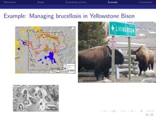 Motivation

Bayes

Evaluating actions

Example

Conclusions

Example: Managing brucellosis in Yellowstone Bison

institution-logo

16 / 26

 