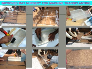 Machine transplanting operation at vadamadurai
-03.02.2012
 